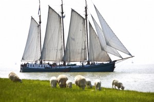 tsjerk-hiddes-zeilen